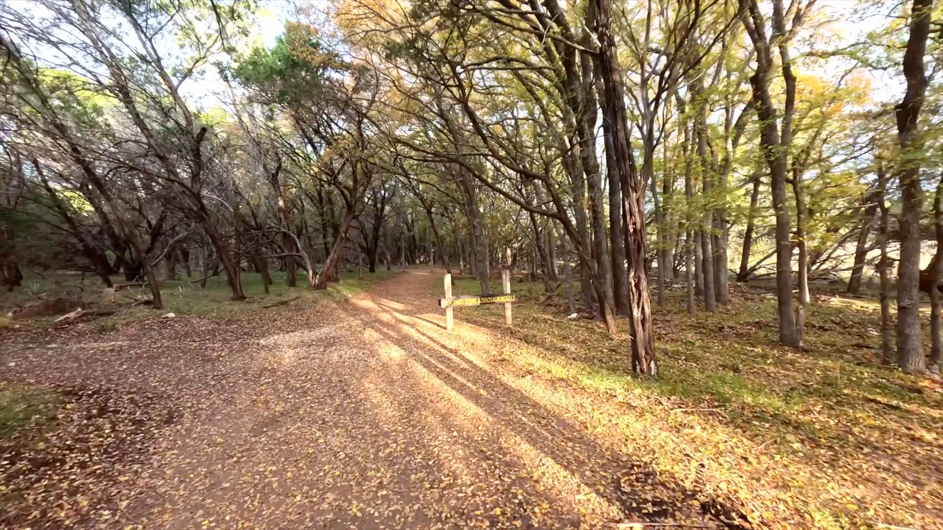 Texas Trail Backdrop