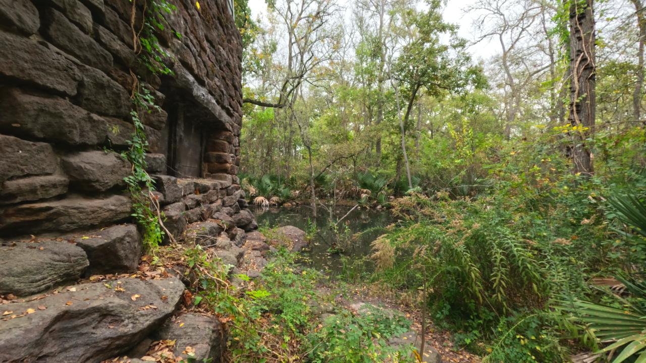 Palmetto State Park - Slide 4