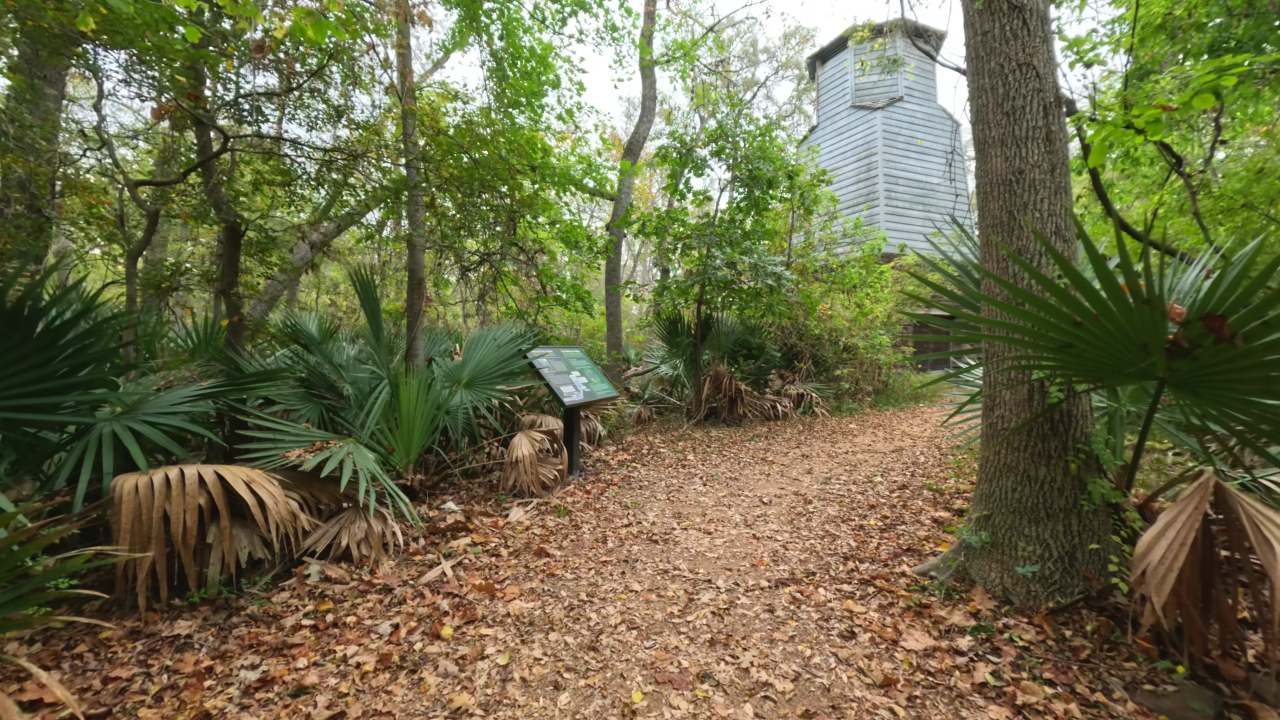Palmetto State Park - Slide 5