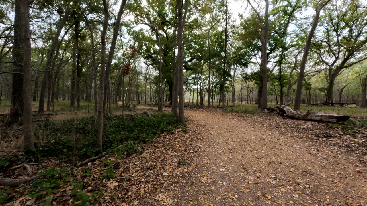 Ottine Swamp Trail - Slide 1