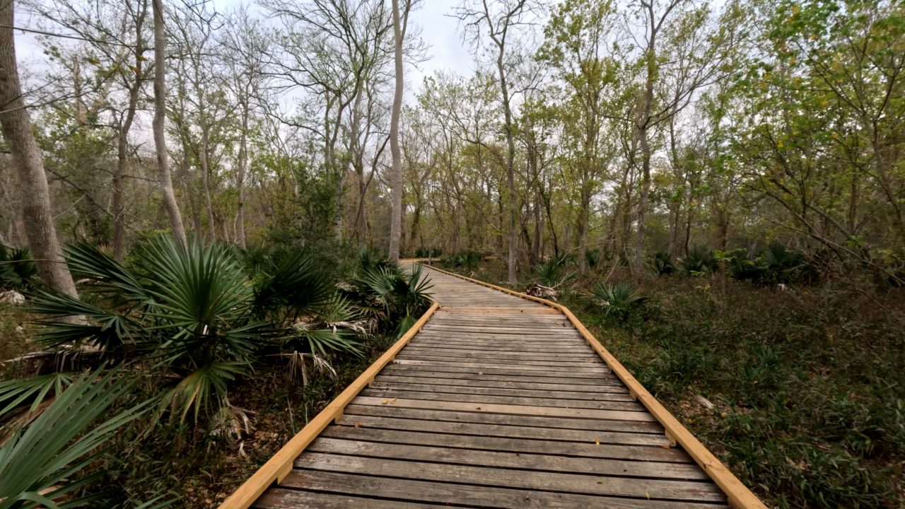 Ottine Swamp Trail - Slide 2