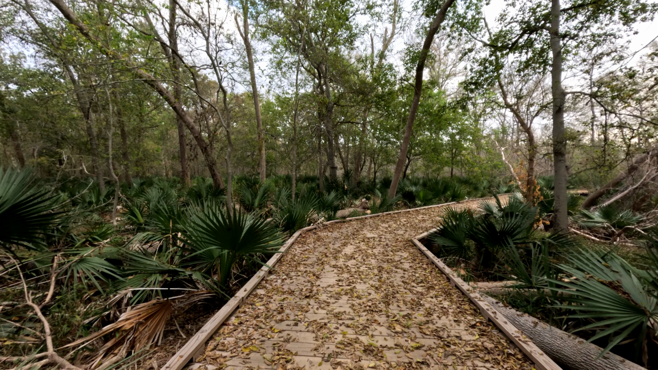Ottine Swamp Trail - Slide 3