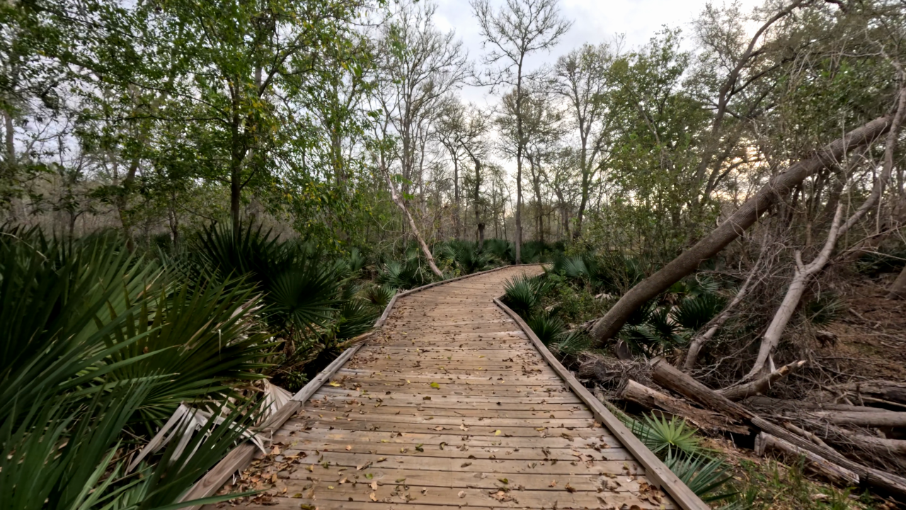 Ottine Swamp Trail - Slide 4