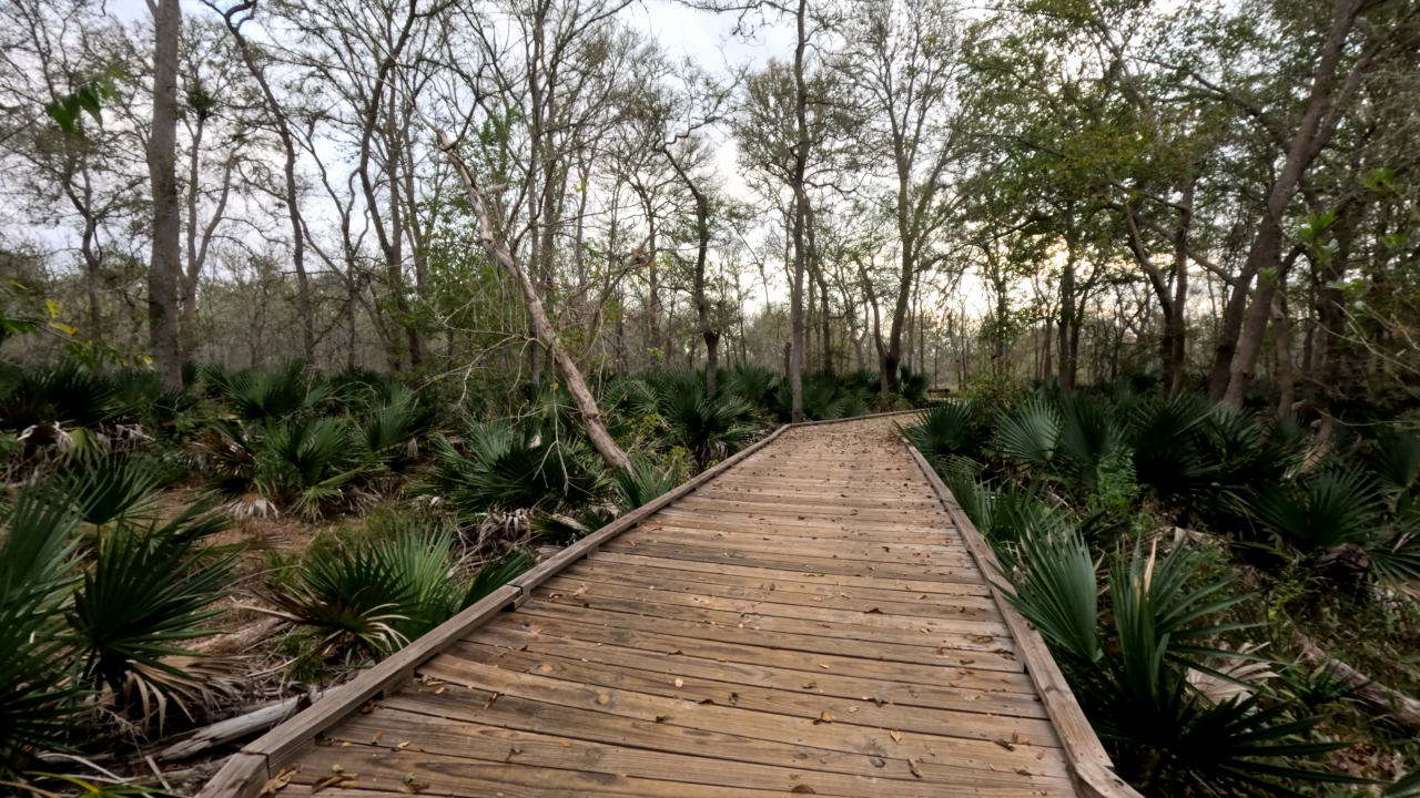 Palmetto State Park - Slide 3